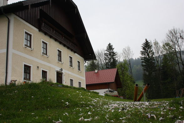 MEINE 1sten HOCHZEIT FOTOS PRIVAT - 