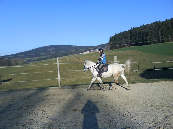 Reitwocha2007....und oandane Pferdln - 