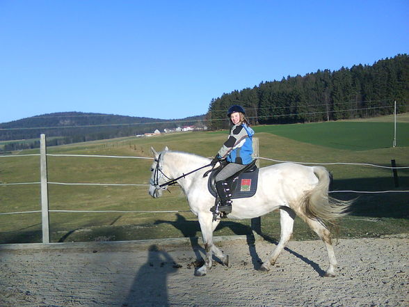 Reitwocha2007....und oandane Pferdln - 