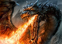 Drachen - 