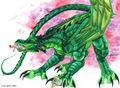 Drachen - 