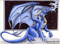 Drachen - 