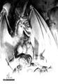 Drachen - 