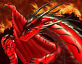 Drachen - 