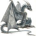 Drachen - 