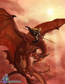 Drachen - 