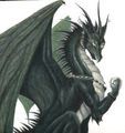 Drachen - 