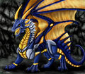 Drachen - 