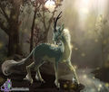 Drachen - 