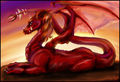 Drachen - 