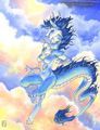 Drachen - 