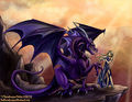 Drachen - 