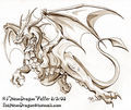 Drachen - 