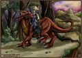 Drachen - 