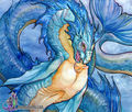 Drachen - 