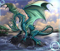 Drachen - 