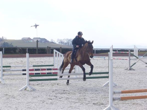 Reittraining in St. Martin - 