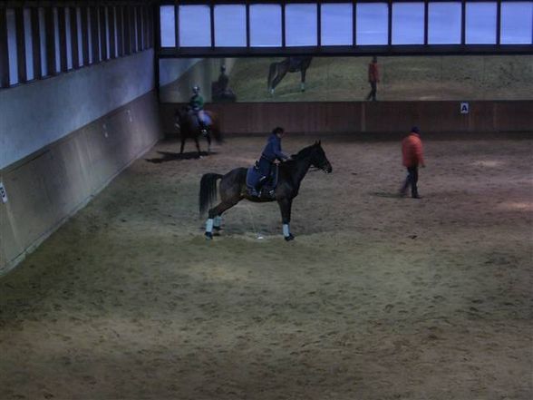 Reittraining in St. Martin - 