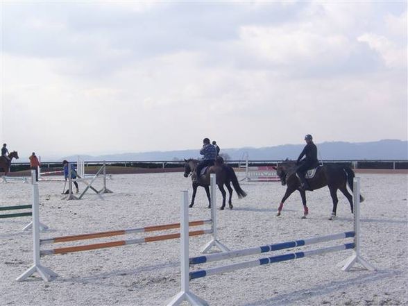 Reittraining in St. Martin - 