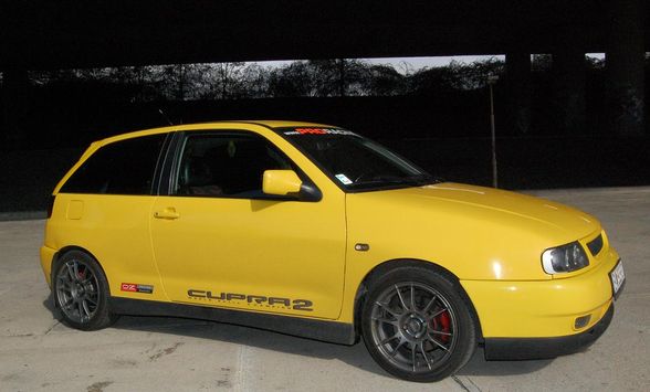 Moja Ibizka cupra 2 - 