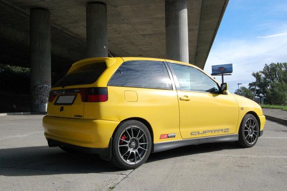 Moja Ibizka cupra 2 - 