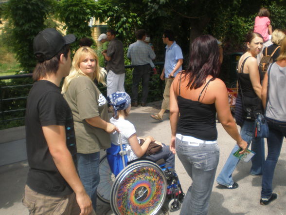 SCHÖNBRUNN (13.07.2008) - 