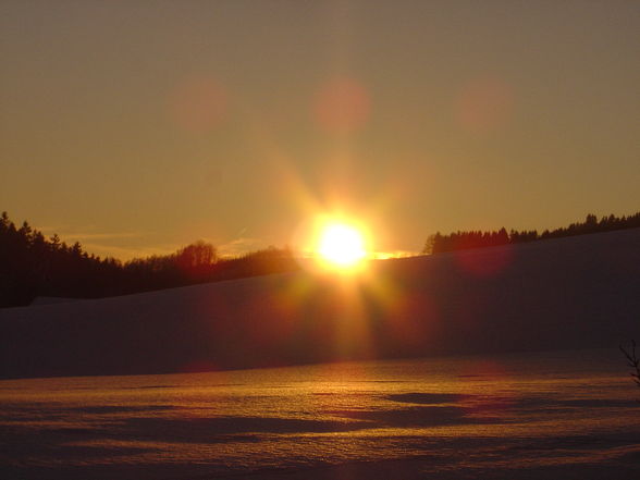 Das sonnige Nebelberg - 