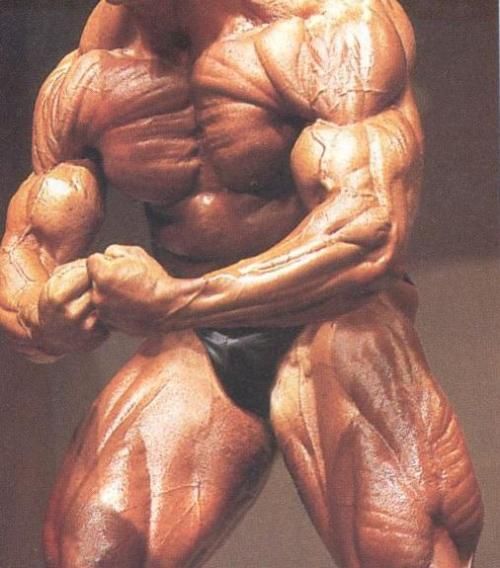 andreas münzer  - 