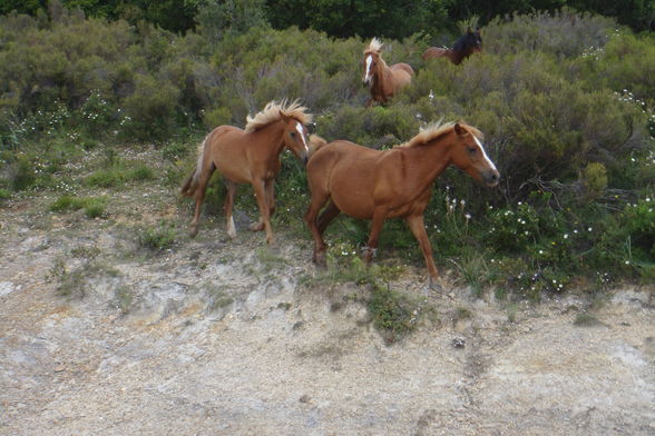 Sardinien Bike Tour 2008 - 