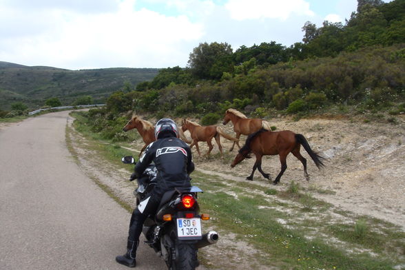 Sardinien Bike Tour 2008 - 