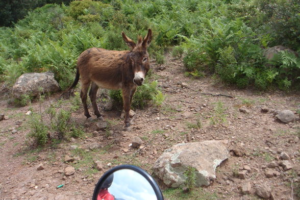 Sardinien Bike Tour 2008 - 