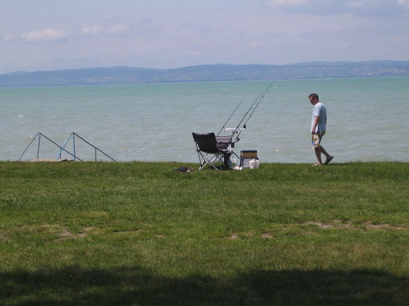 Fischen am Balaton - 