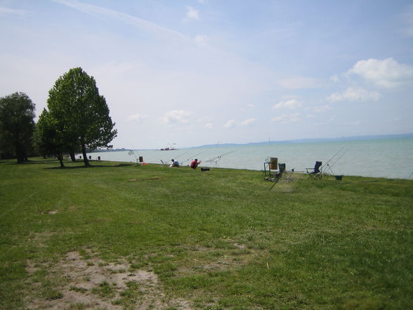 Fischen am Balaton - 