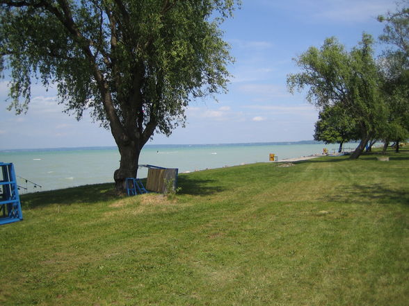 Fischen am Balaton - 