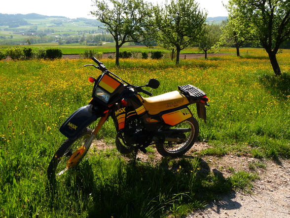 Mei oids Moped (schnüff) - 