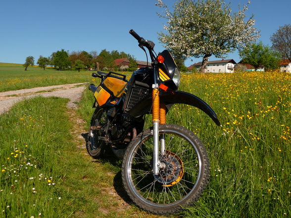 Mei oids Moped (schnüff) - 