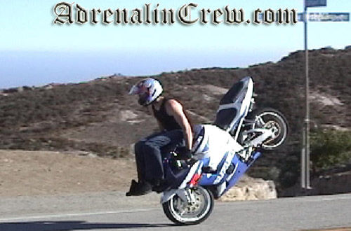 Adrenalin Crew 1 - 