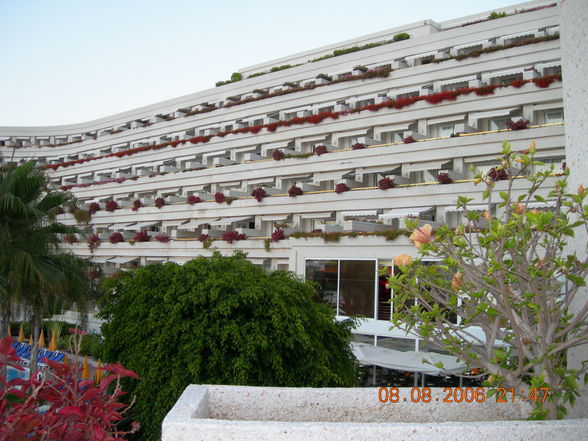 Urlaub Teneriffa 2006 - 