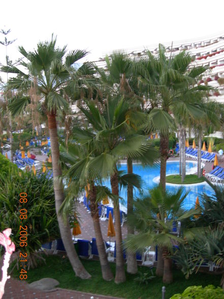 Urlaub Teneriffa 2006 - 