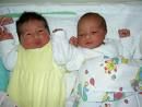 Meine Babys Nino und Nico - 