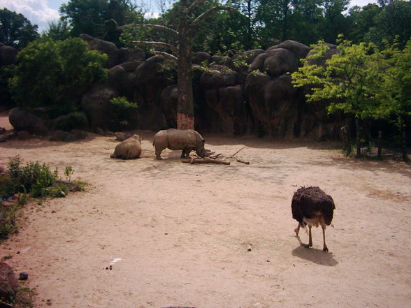 The Maryland Zoo - 