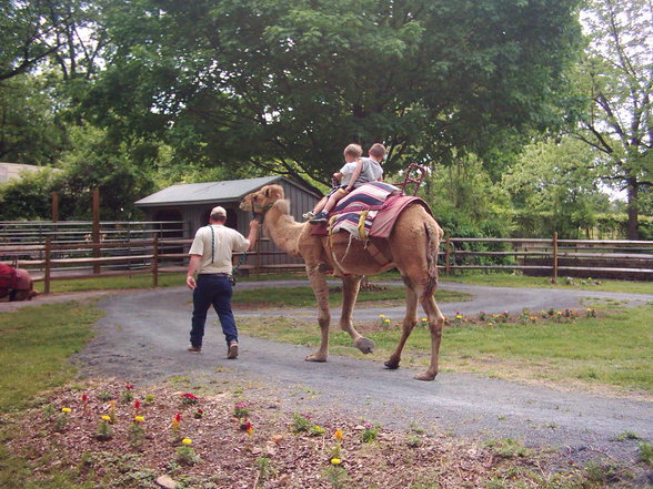 The Maryland Zoo - 