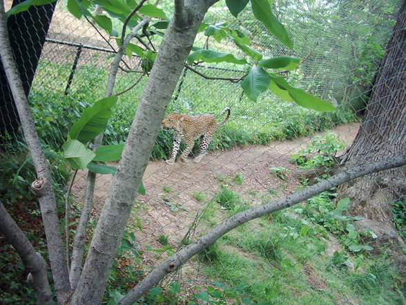 The Maryland Zoo - 