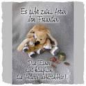 Freunde - 