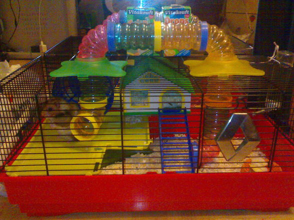 ?.•°My Schatzy's Hamster SaLLy°•.? - 