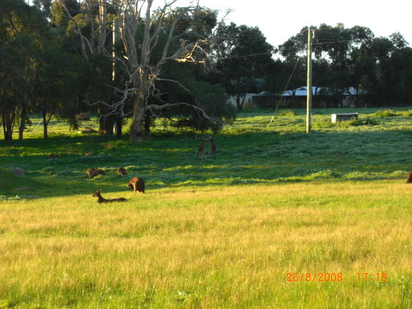 Perth-Margret river - 