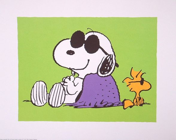      snoopy - 