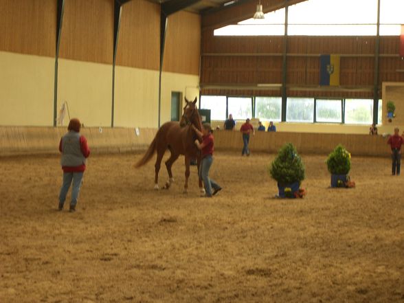 Stutbucheintragung mit Anabell - 