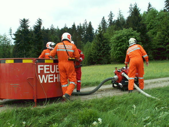 Waldbrandbekämpfungskurs - 