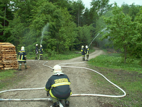 Waldbrandbekämpfungskurs - 